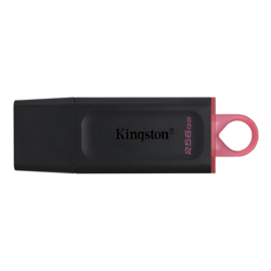 Kingston 256GB DataTraveler Exodia (DTX/256GB)