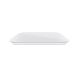 0124854_xiaomi-mi-smart-scale-2_550.png
