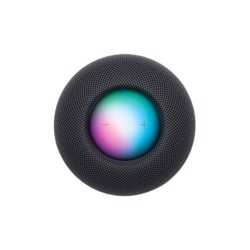 0138112_apple-homepod-mini-my5g2lla-grey_550.jpeg