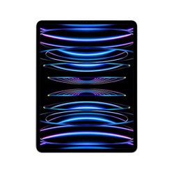 0184664_apple-ipad-pro-129-2022-6th-gen-256gb-wi-ficellular-silver_550.jpeg
